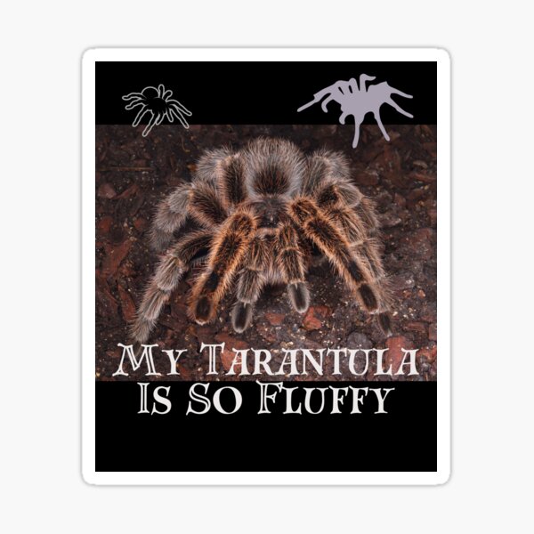 Item preview, My Tarantula Is Fluffy Color Arachnid Design designed and sold by EarthArtDesigns.