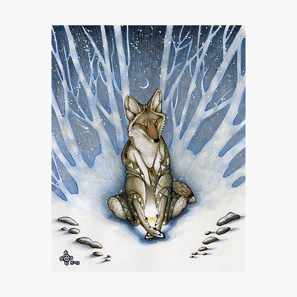 The Longest Night Photographic Print