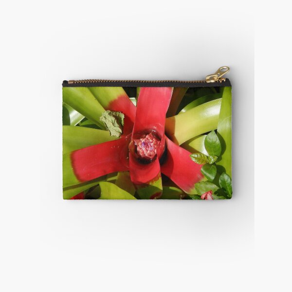 Item preview, Bromeliad designed and sold by danaart.