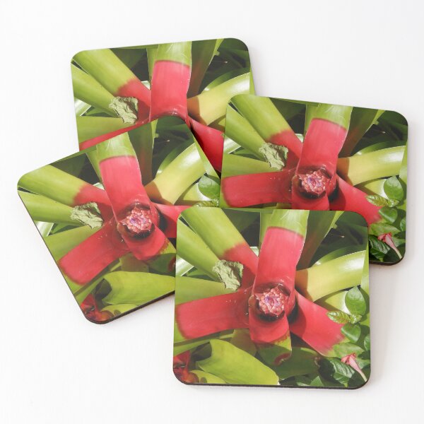 Item preview, Bromeliad designed and sold by danaart.