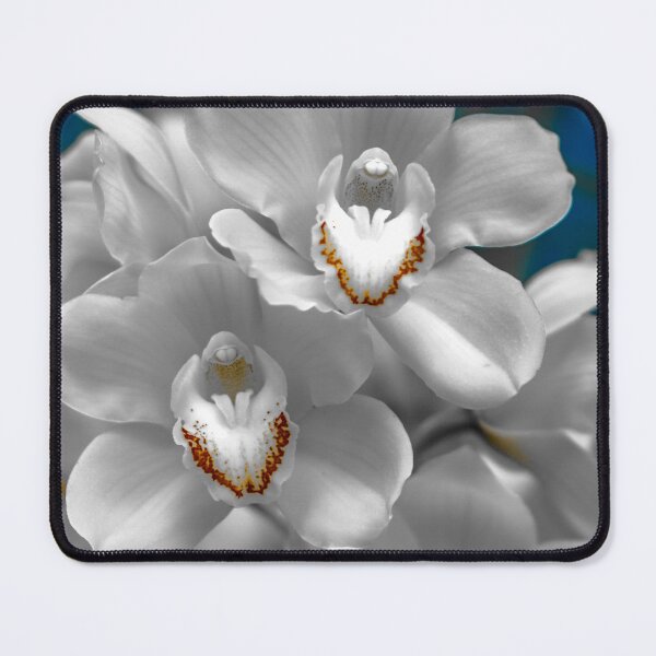 Item preview, White Orchids - Bendigo, Victoria, Australia designed and sold by Steven Jodoin.