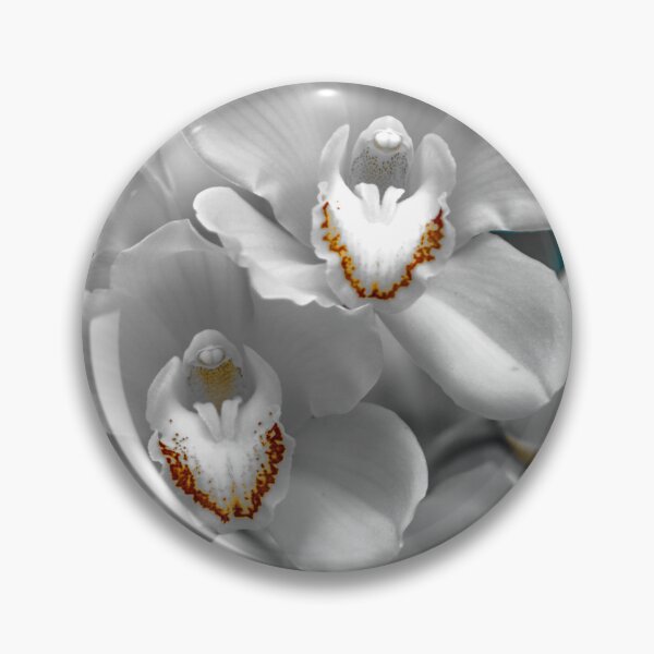 Item preview, White Orchids - Bendigo, Victoria, Australia designed and sold by Steven Jodoin.