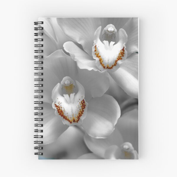 Item preview, White Orchids - Bendigo, Victoria, Australia designed and sold by Steven Jodoin.