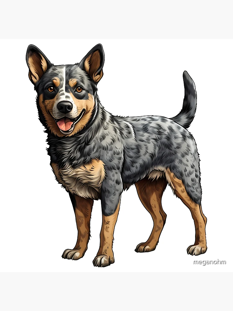 Australian Cattle Dog Blue Heeler Puppy Mounted Print for Sale by Elarex