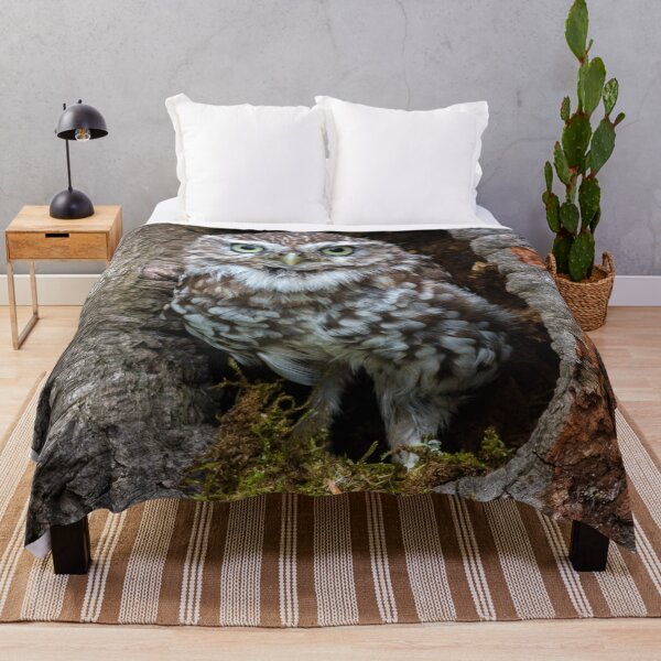 Item preview, Owl in a tree hole designed and sold by HaleyRedshaw.