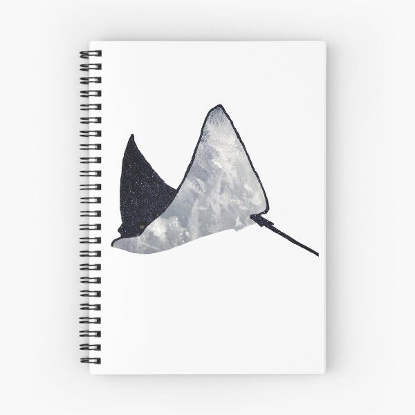 Item preview, Galaxy ray designed and sold by TerralCo.