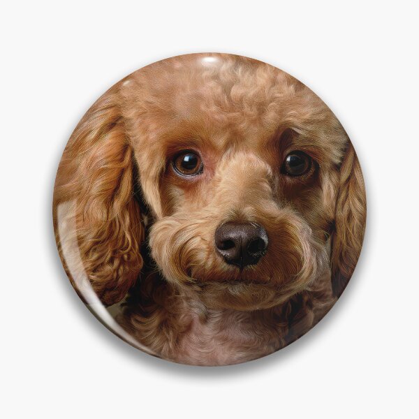 Item preview, Cute Brown Poodle designed and sold by Elisabeth Lucas.