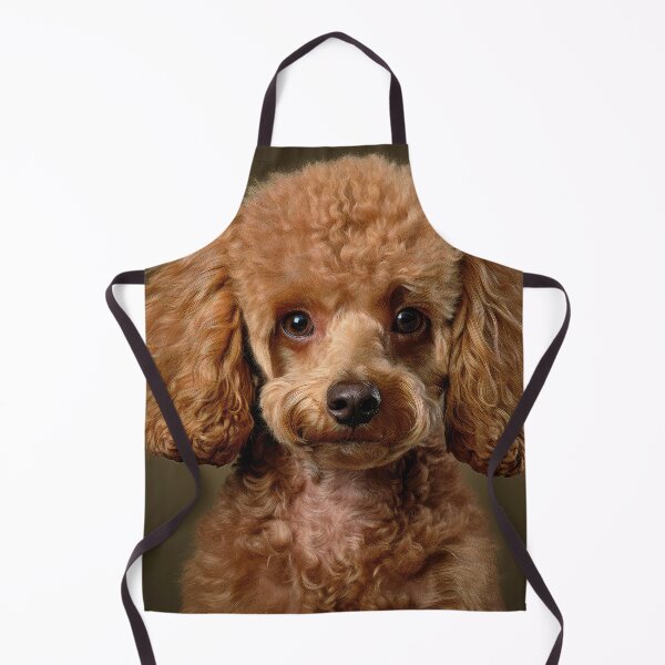 Item preview, Cute Brown Poodle designed and sold by Elisabeth Lucas.