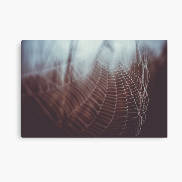 Item preview, Morning Web designed and sold by Bri Santoro.