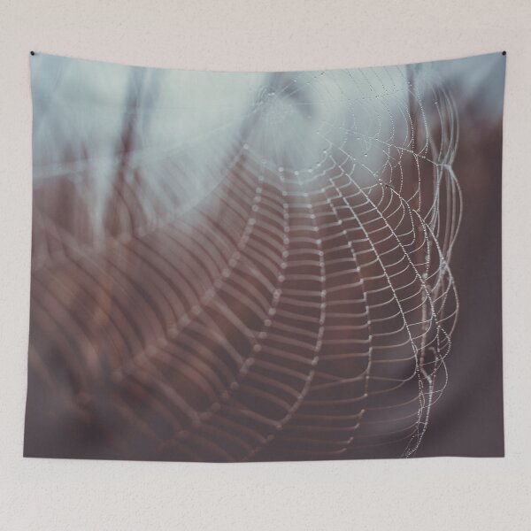 Item preview, Morning Web designed and sold by Bri Santoro.