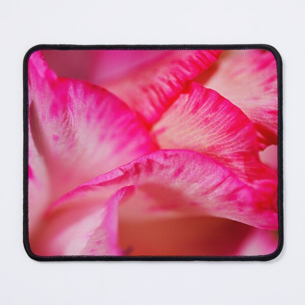 Item preview, Gladioli Pink Flower Petals Ears designed and sold by Joy Watson - Natural Light Photography .