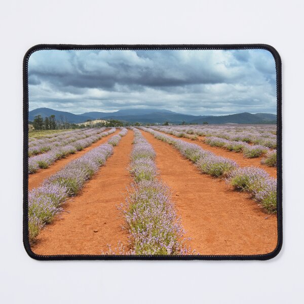 Item preview, Lavender Moods designed and sold by Beata  Cz.  Young.