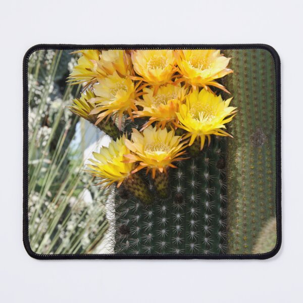 Item preview, Cactus Flowers Yellow Bloom designed and sold by JimNEmDesigns.