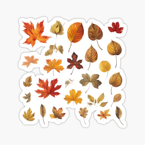 Item preview, I love autumn fall leaves pattern designed and sold by OliveAndSnow.