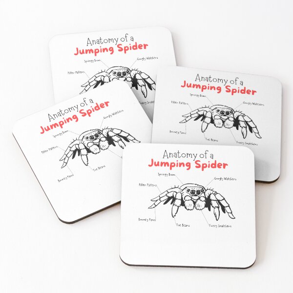 Item preview, Anatomy of a Jumping Spider Funny Cute designed and sold by mkzmerch.