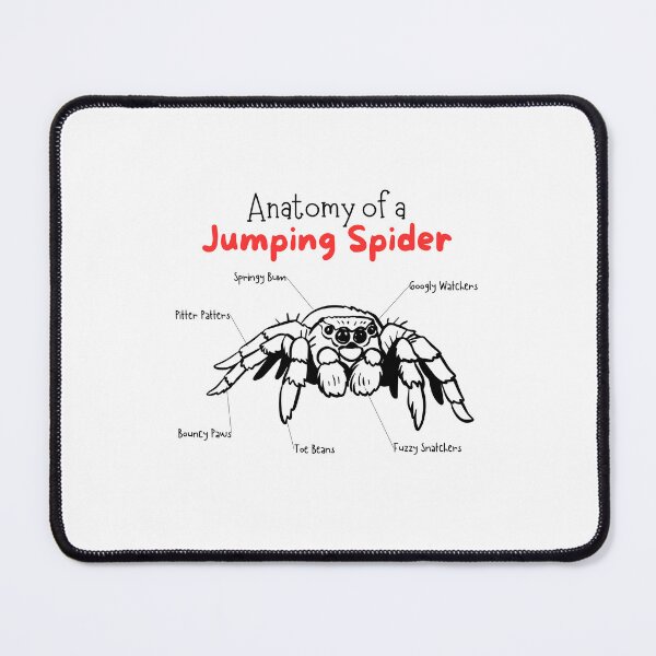 Item preview, Anatomy of a Jumping Spider Funny Cute designed and sold by mkzmerch.