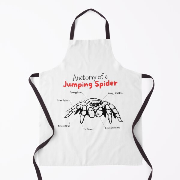 Item preview, Anatomy of a Jumping Spider Funny Cute designed and sold by mkzmerch.