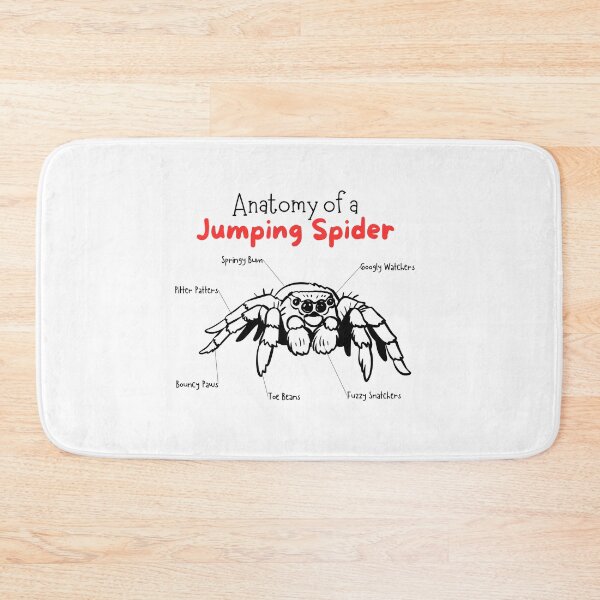 Item preview, Anatomy of a Jumping Spider Funny Cute designed and sold by mkzmerch.