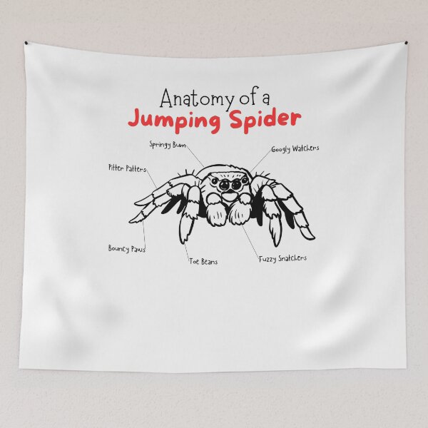 Item preview, Anatomy of a Jumping Spider Funny Cute designed and sold by mkzmerch.