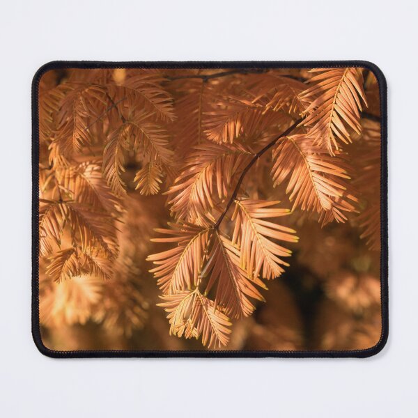 Item preview, Autumnal Tamarack Branches in Rich Orange designed and sold by Georgia Mizuleva.