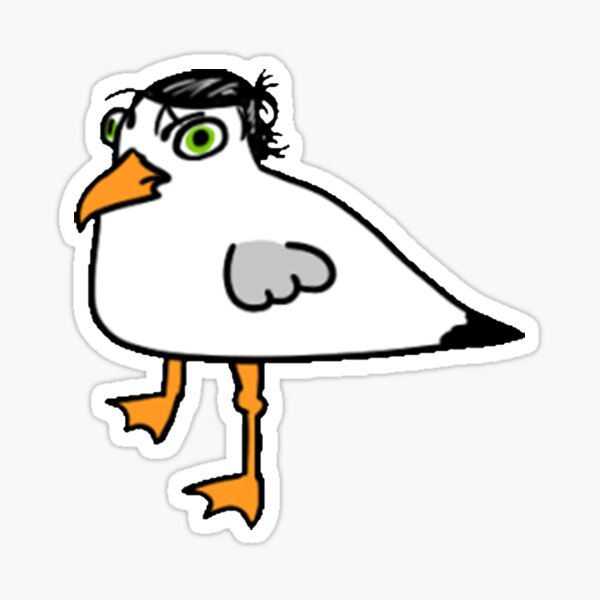 Seagull Funny Meme, Seagull Funny Anime