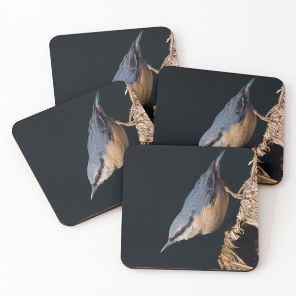 Item preview, Nutty designed and sold by Krys Bailey.