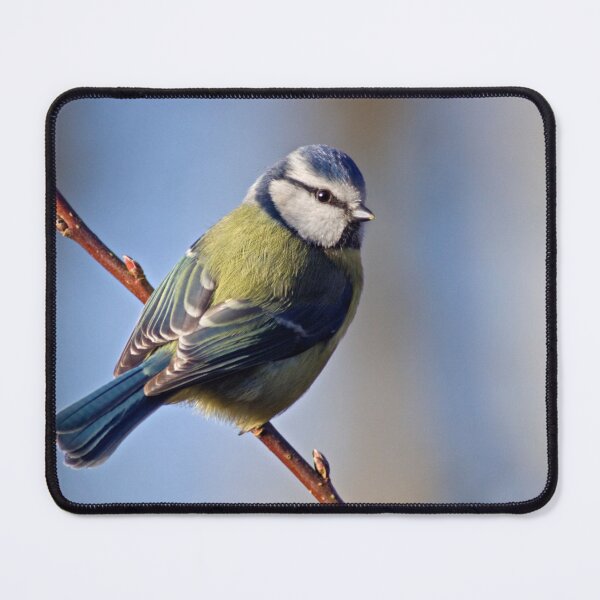 Item preview, Little Blue designed and sold by Krys Bailey.
