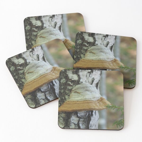 Item preview, Undergrowth mushroom resembling a hat designed and sold by Syr'photographies.