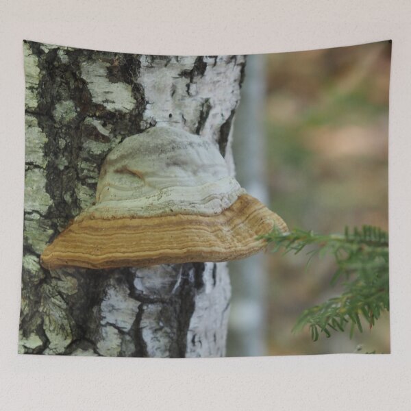 Item preview, Undergrowth mushroom resembling a hat designed and sold by Syr'photographies.