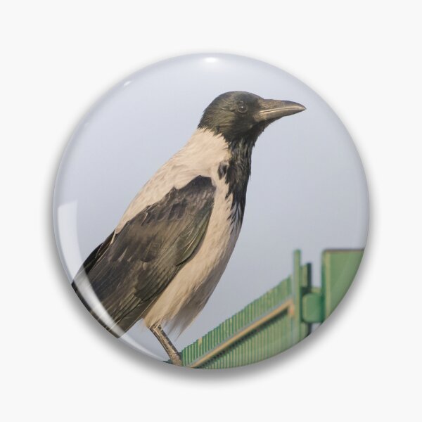 Item preview, Hooded Crow designed and sold by LaurenTucker.