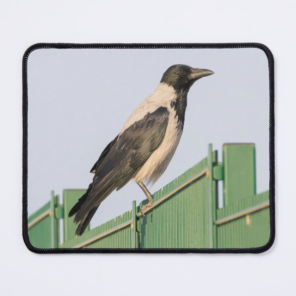 Item preview, Hooded Crow designed and sold by LaurenTucker.