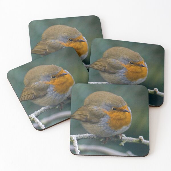 Artikelvorschau, vor meinem "Büro" -Fenster gesehen.
! http: //images-1.redbubble.net/img/art/backingcolor: weiß / Produkt: Grußkarte / Ansicht: Vorschau / 2392884-2-round-robin.jpg! entworfen und verkauft von Krys Bailey.