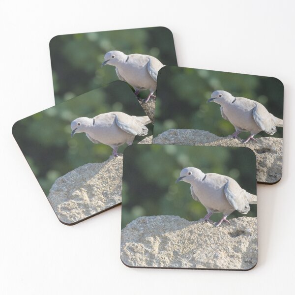 Item preview, Collared Dove designed and sold by LaurenTucker.