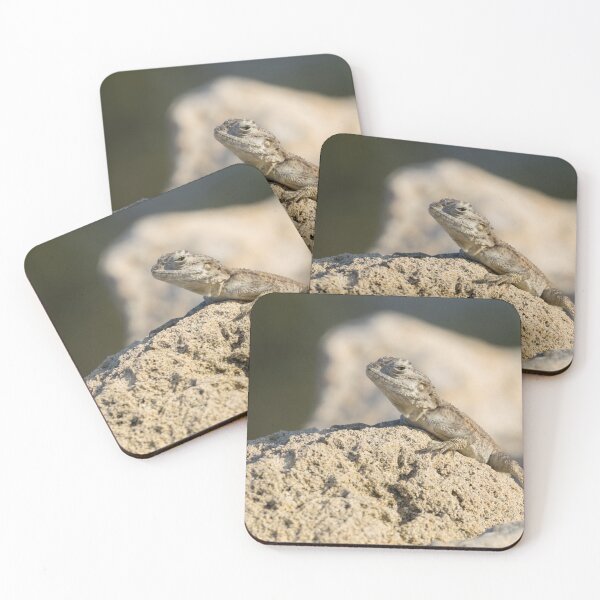 Item preview, Cyprus Rock Agama designed and sold by LaurenTucker.
