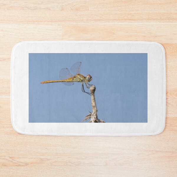 Item preview, Red Veined Darter designed and sold by LaurenTucker.