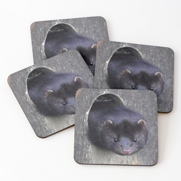 Item preview, Is it spring yet? designed and sold by Krys Bailey.