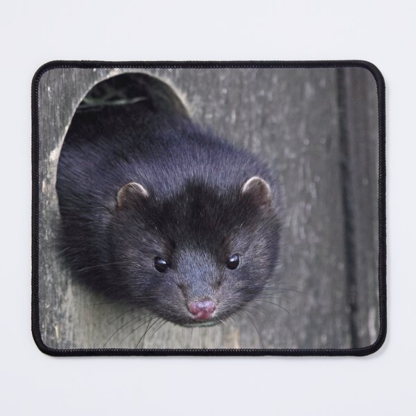 Item preview, Is it spring yet? designed and sold by Krys Bailey.