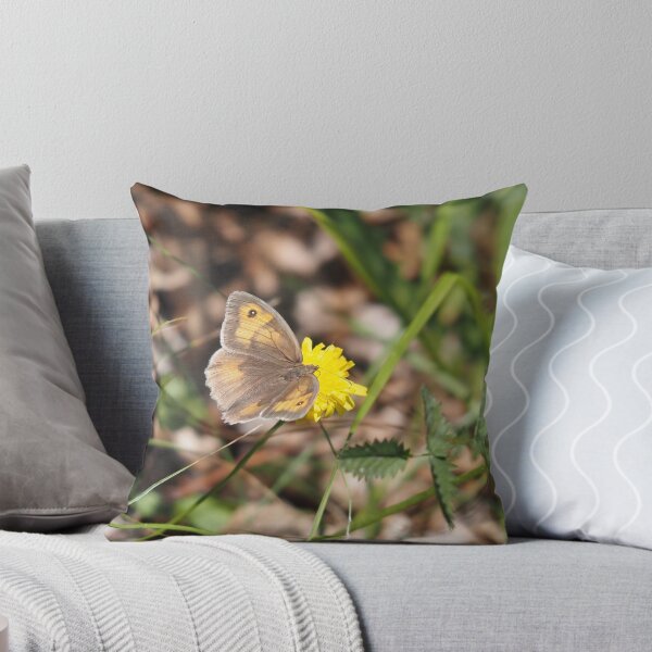 Item preview, Orange and brown butterfly on a yellow flower designed and sold by Syr'photographies.