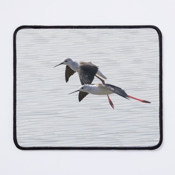 Item preview, Black Winged Stilt designed and sold by LaurenTucker.