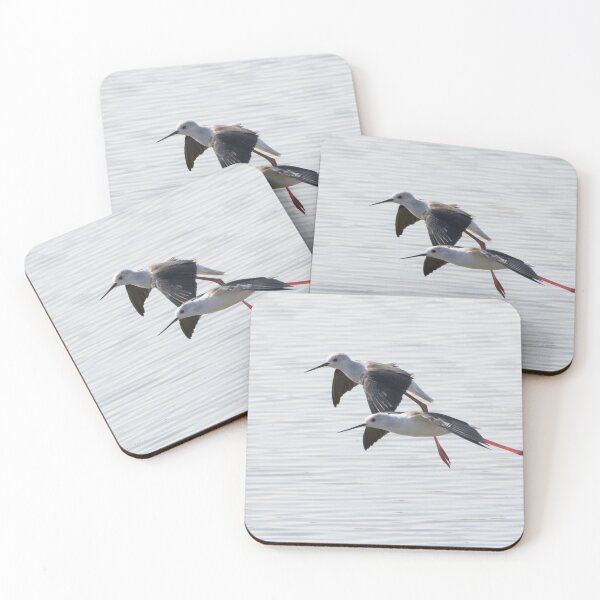 Item preview, Black Winged Stilt designed and sold by LaurenTucker.