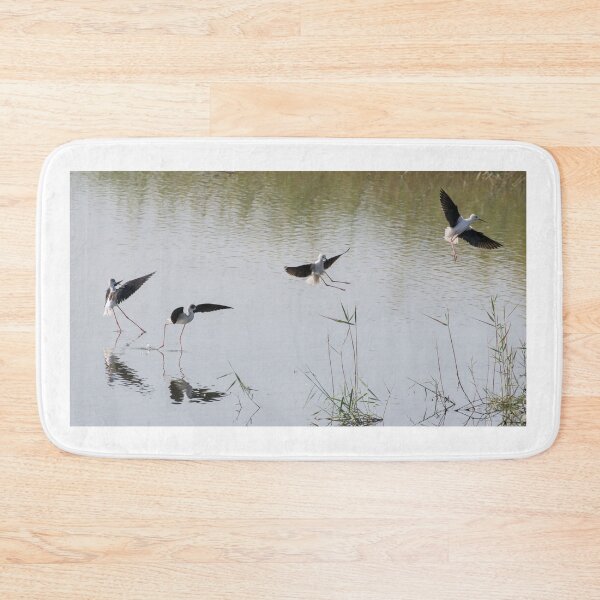 Item preview, Black Winged Stilt designed and sold by LaurenTucker.