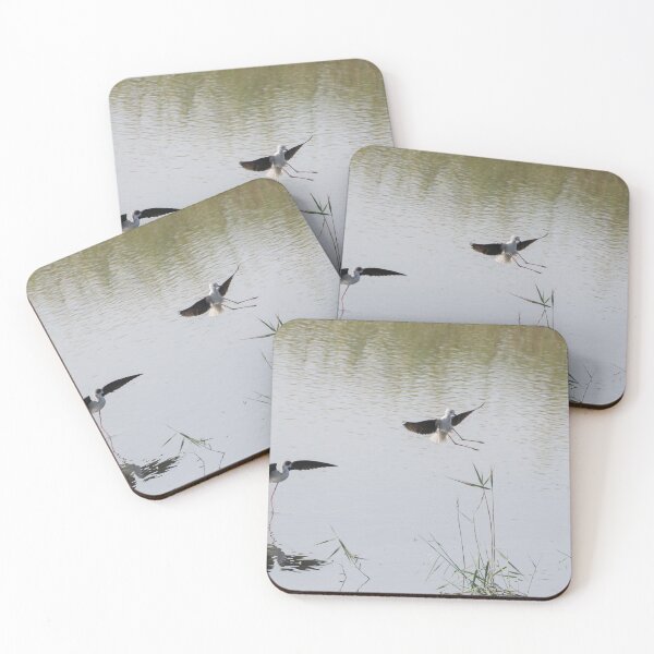 Item preview, Black Winged Stilt designed and sold by LaurenTucker.