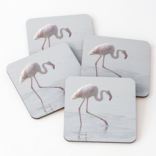 Item preview, Greater Flamingo designed and sold by LaurenTucker.
