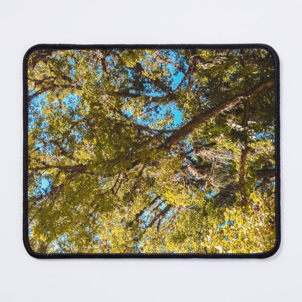 Item preview, Trees at the sky designed and sold by Mauricio Santana.