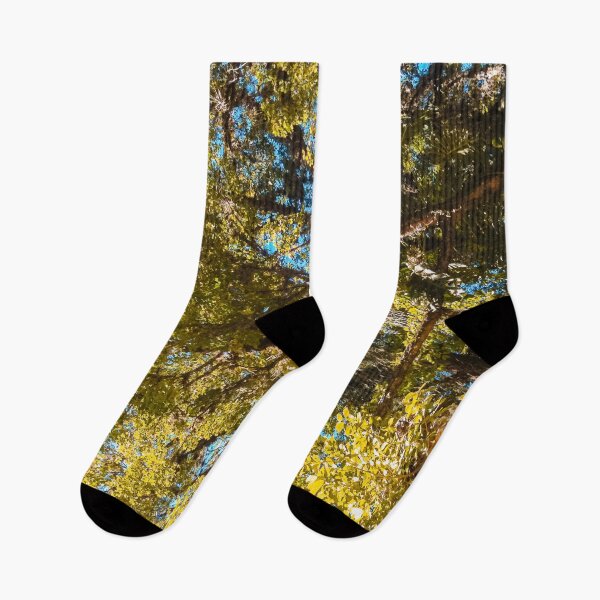 Item preview, Trees at the sky designed and sold by Mauricio Santana.