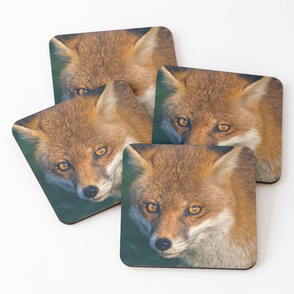 Item preview, Winter Fox designed and sold by Krys Bailey.