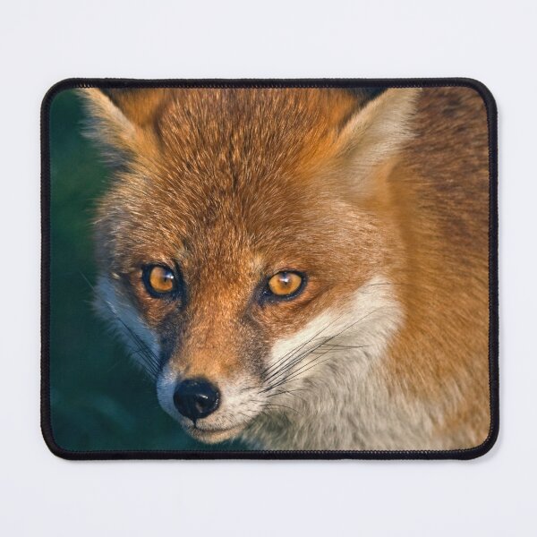 Item preview, Winter Fox designed and sold by Krys Bailey.