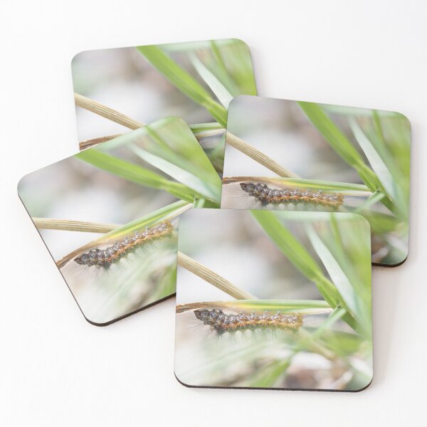 Item preview, Funny globular caterpillar designed and sold by Syr'photographies.