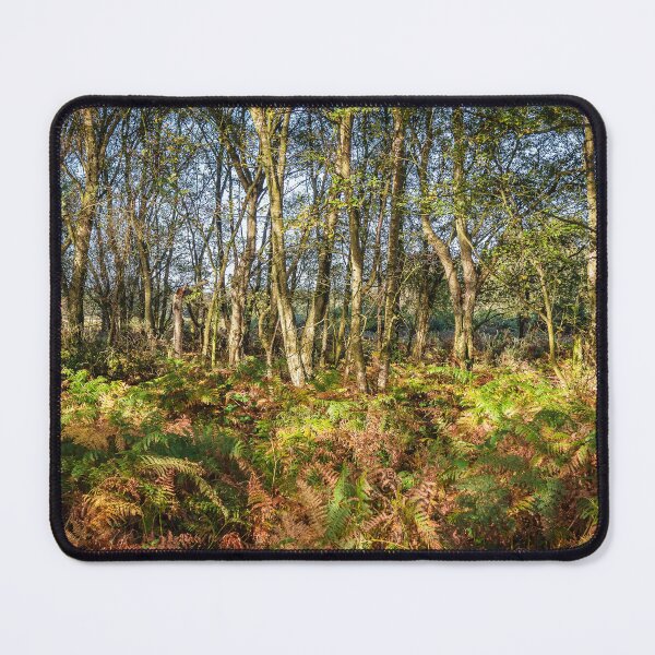 Item preview, Autumn Ferns in the Woods designed and sold by Jim Key.