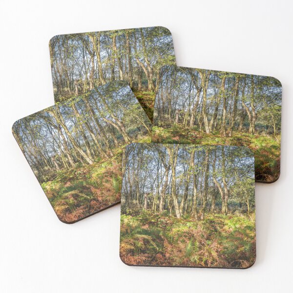 Item preview, Autumn Ferns in the Woods designed and sold by Jim Key.